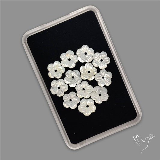 Small Mother Of Pearl Drilled Flowers Lot