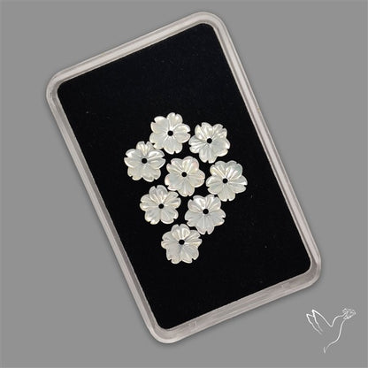 Small Mother Of Pearl Drilled Flowers Lot
