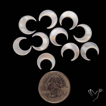Small Mother Of Pearl Crescents Lot