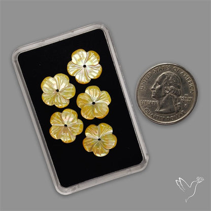 Small Mother Of Pearl Drilled Flowers Lot