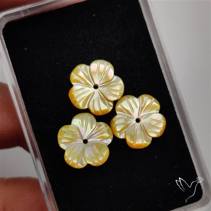 Small Mother Of Pearl Drilled Flowers Lot