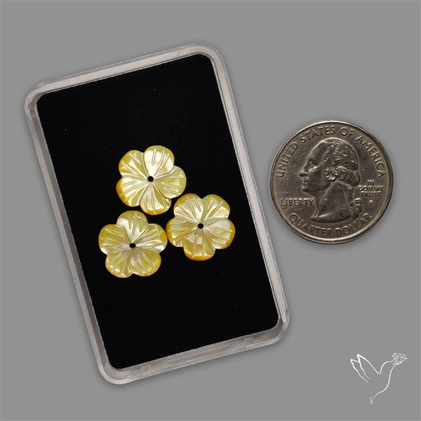 Small Mother Of Pearl Drilled Flowers Lot