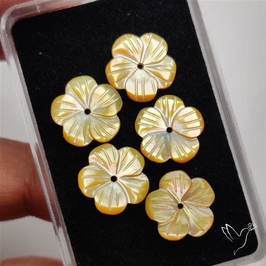 Small Mother Of Pearl Drilled Flowers Lot