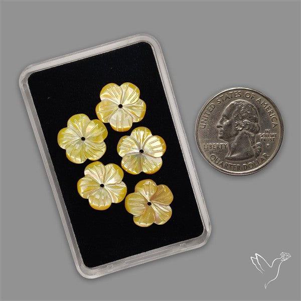 Small Mother Of Pearl Drilled Flowers Lot