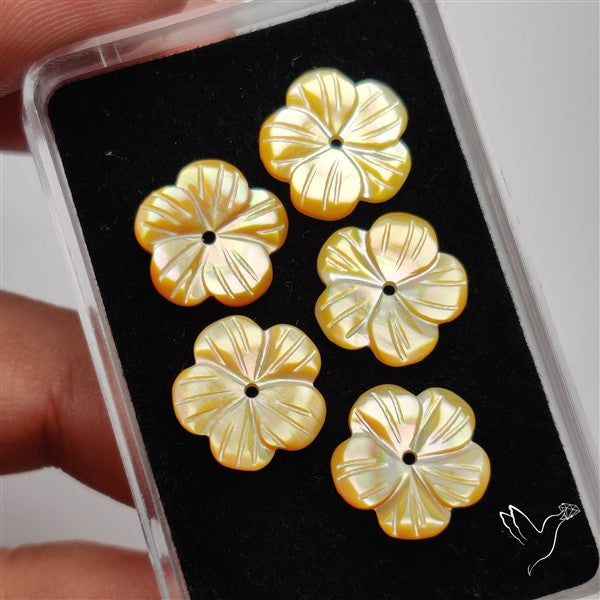 Small Mother Of Pearl Drilled Flowers Lot