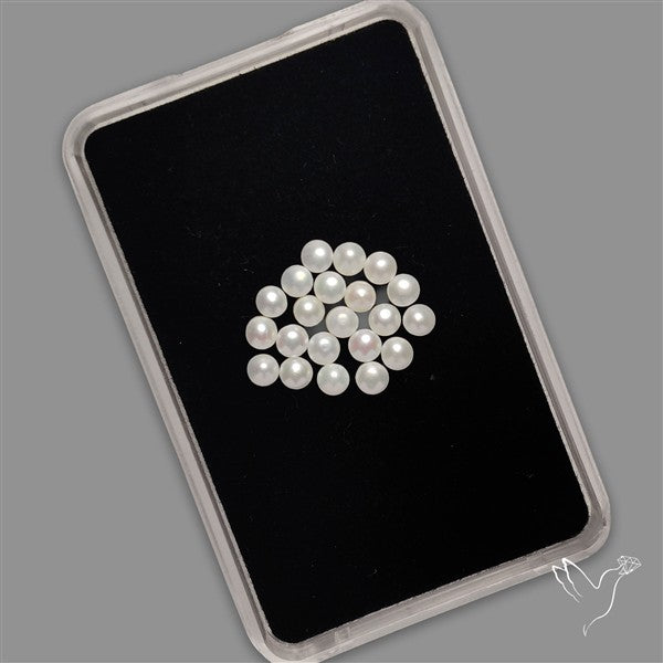 Small Mother Of Pearl Rounds Lot
