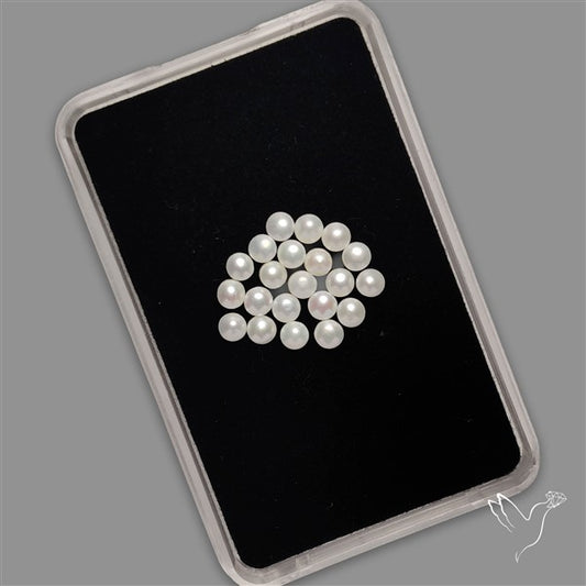 Small Mother Of Pearl Rounds Lot