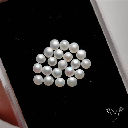 Small Mother Of Pearl Rounds Lot