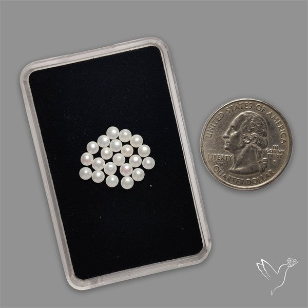 Small Mother Of Pearl Rounds Lot