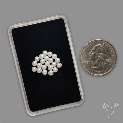 Small Mother Of Pearl Rounds Lot