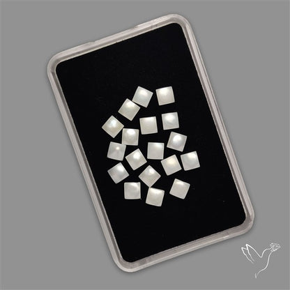 Small Mother Of Pearl Squares Lot