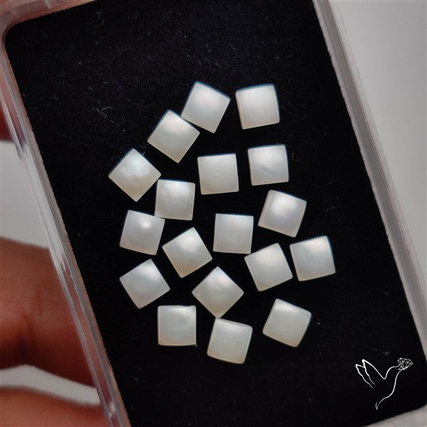 Small Mother Of Pearl Squares Lot