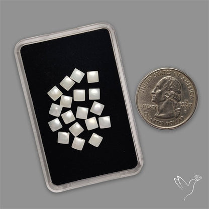 Small Mother Of Pearl Squares Lot