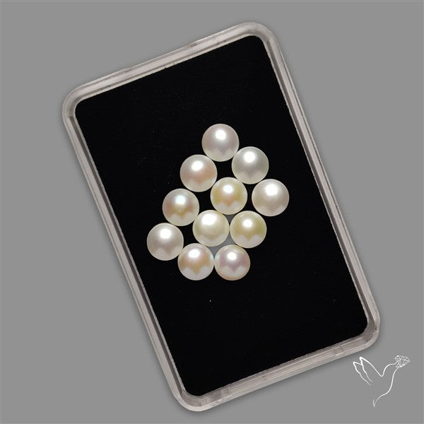 Small Mother Of Pearl Rounds Lot