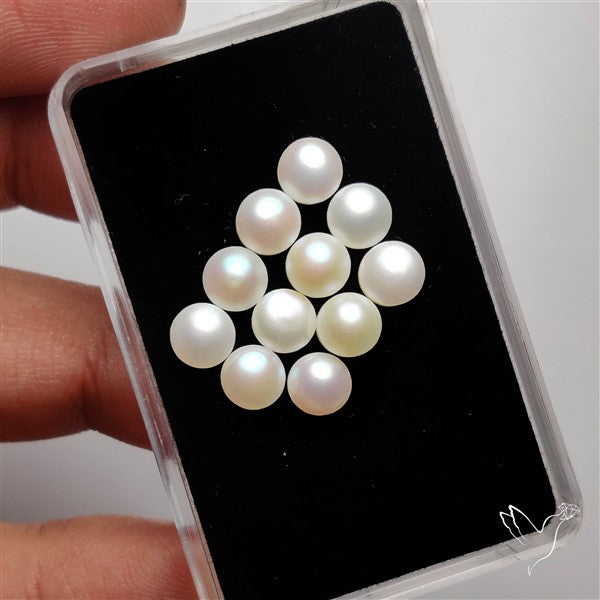 Small Mother Of Pearl Rounds Lot