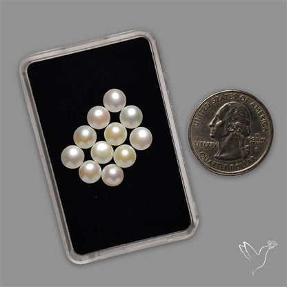 Small Mother Of Pearl Rounds Lot