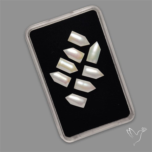 Small Mother Of Pearl Nails Lot