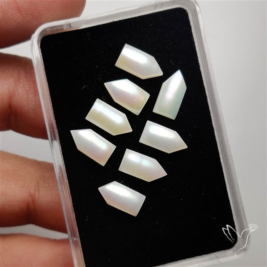 Small Mother Of Pearl Nails Lot