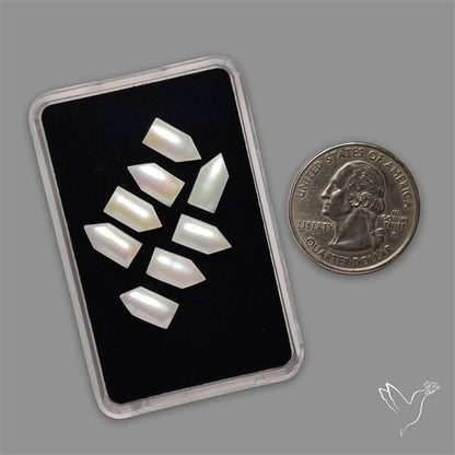 Small Mother Of Pearl Nails Lot