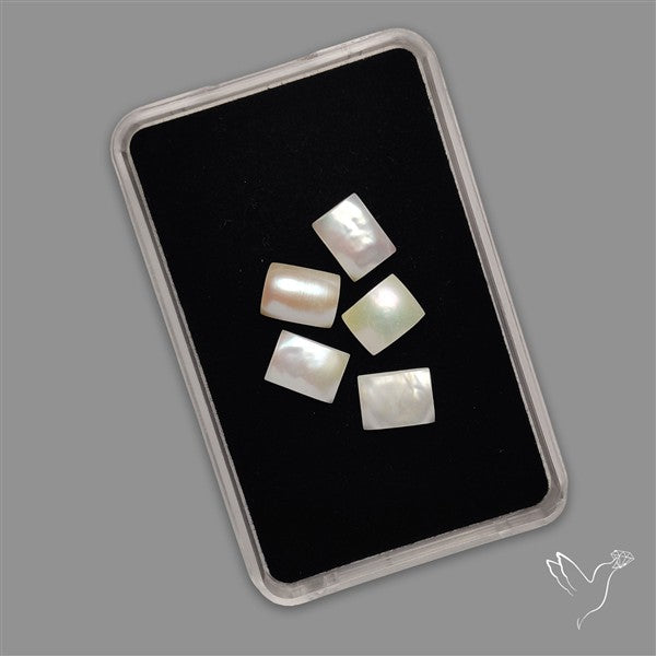 Small Mother Of Pearl Baguette Lot