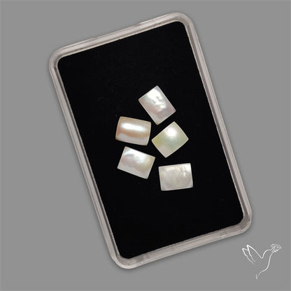 Small Mother Of Pearl Baguette Lot