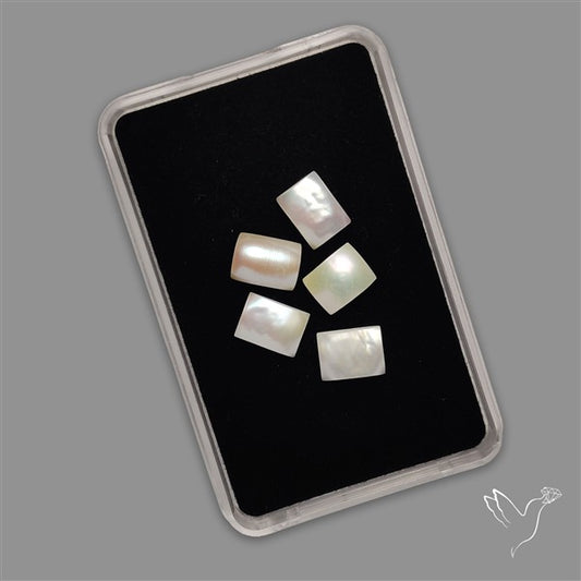 Small Mother Of Pearl Baguette Lot