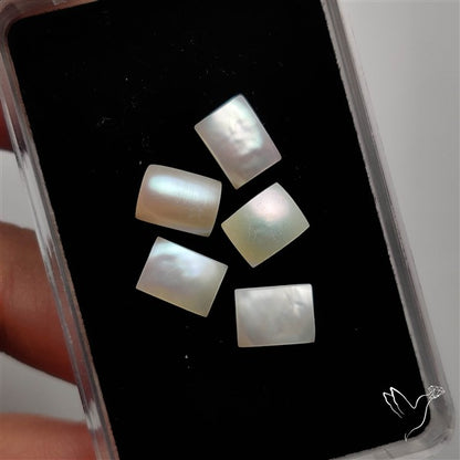 Small Mother Of Pearl Baguette Lot