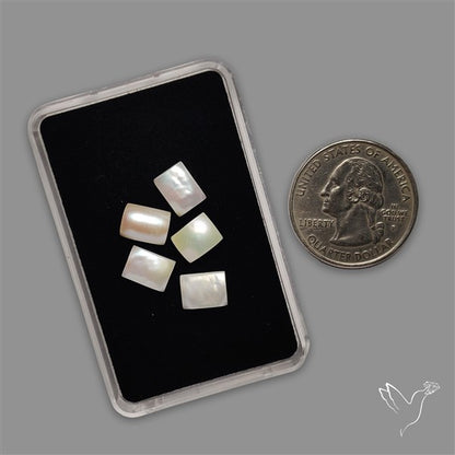 Small Mother Of Pearl Baguette Lot