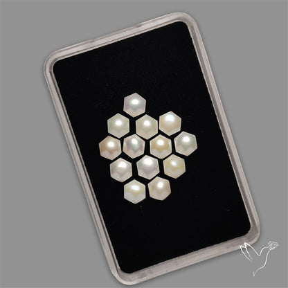 Small Mother Of Pearl Hexagons Lot