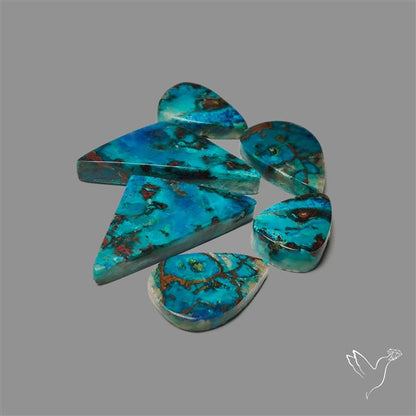 Chrysocolla Cabochons Lot