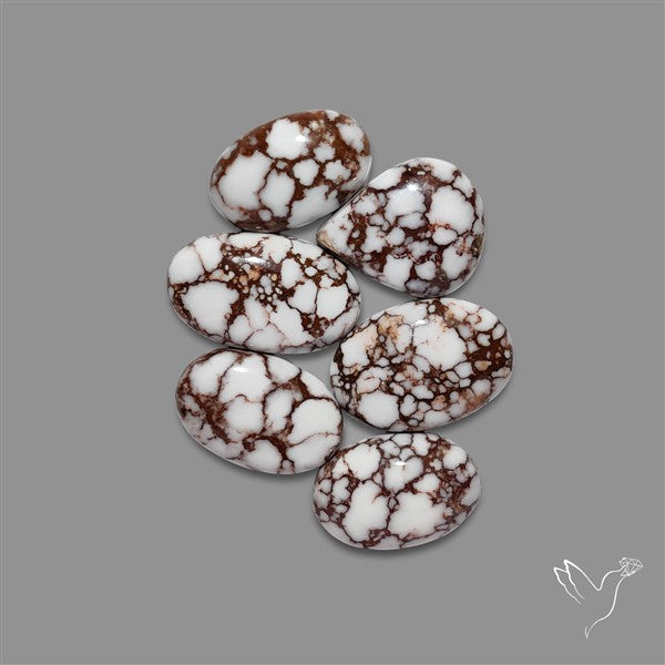 Wild Horse Jasper Cabochons Lot