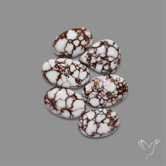 Wild Horse Jasper Cabochons Lot