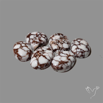 Wild Horse Jasper Cabochons Lot