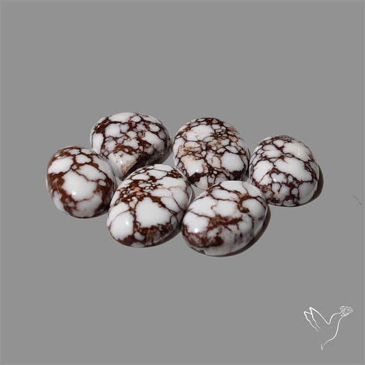 Wild Horse Jasper Cabochons Lot