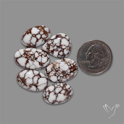 Wild Horse Jasper Cabochons Lot