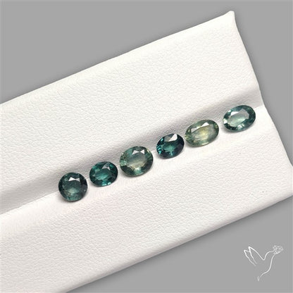Rare Australian Parti Sapphire Fine Gemstone Set