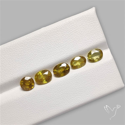 Fine Sphene Faceted Fine Gemstone Set