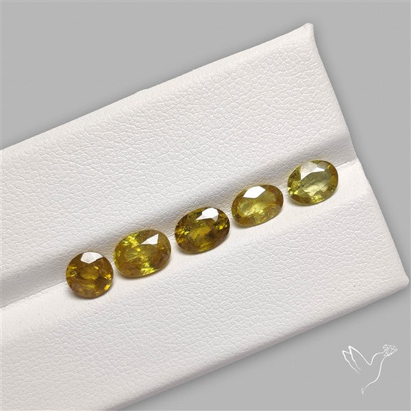 Fine Sphene Faceted Fine Gemstone Set