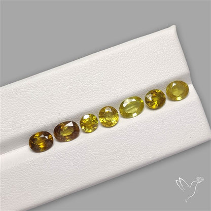 Fine Sphene Faceted Fine Gemstone Set