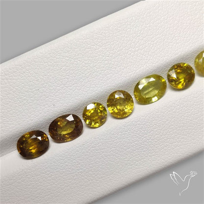 Fine Sphene Faceted Fine Gemstone Set