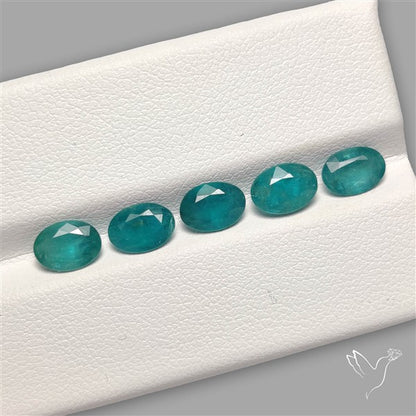 Faceted Grandidierite Fine Gemstone Set