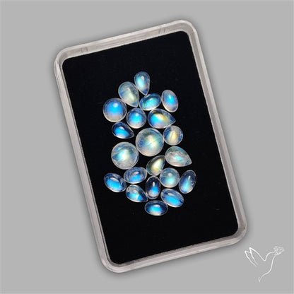 Rainbow Moonstone Cabochons Lot