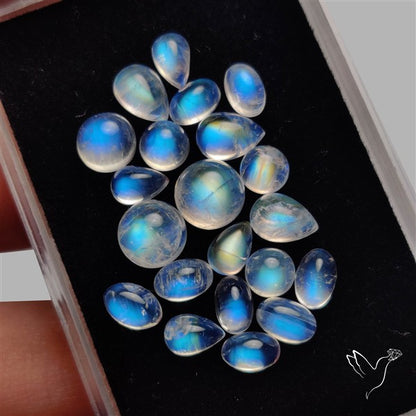 Rainbow Moonstone Cabochons Lot
