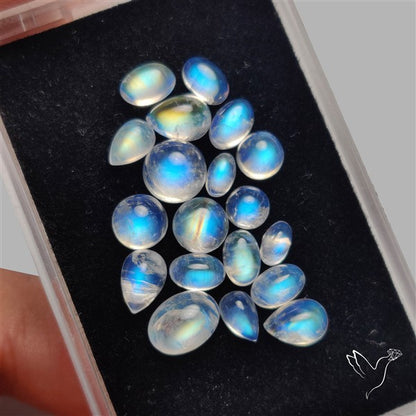 Rainbow Moonstone Cabochons Lot