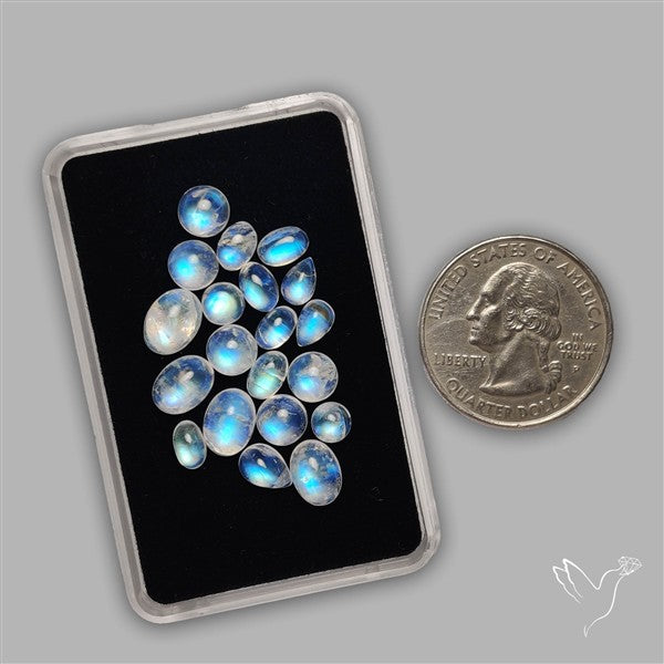 Rainbow Moonstone Cabochons Lot