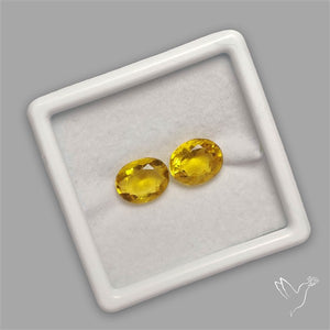 Faceted Yellow Mexican Fire Opal Fine Gemstone Pair