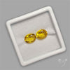 Faceted Yellow Mexican Fire Opal Fine Gemstone Pair