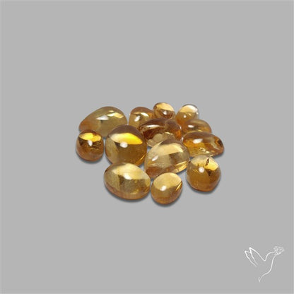 Natural Bicolor Citrine Cabochons Lot