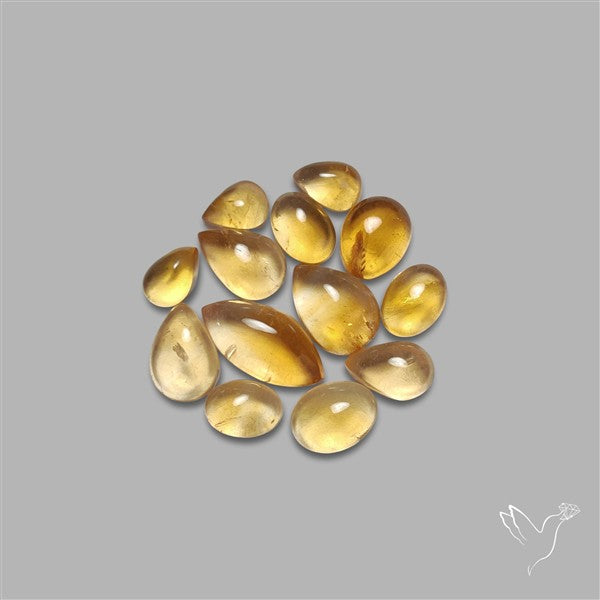Natural Bicolor Citrine Cabochons Lot