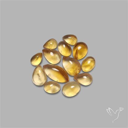 Natural Bicolor Citrine Cabochons Lot